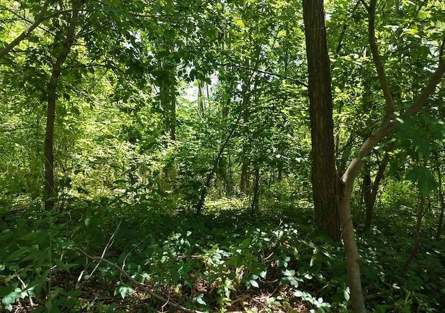 Photo 4 of Land for sale at 1776 Neal St, Red Wing, MN 55066 | MLS# 7117560 | Listing updated on 2026-09-08
