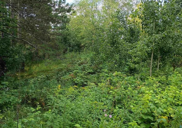 Photo 3 of Sale Pending at 3619 Highway 33, Cloquet, MN 55720 | MLS# 7121419 | Listing updated on 2026-09-18