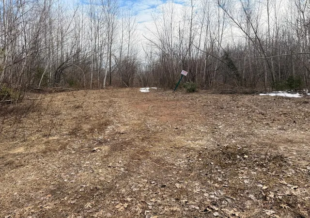 Photo 3 of Land for sale at Tbd Happy Tree Lane, Bruno, MN 55712 | MLS# 7131675 | Listing updated on 2026-10-06