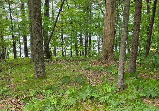 Photo 1 of Land for sale at 2406 Us Hwy 63, Cumberland, WI 54829 | MLS# 7135112 | Listing updated on 2026-09-17