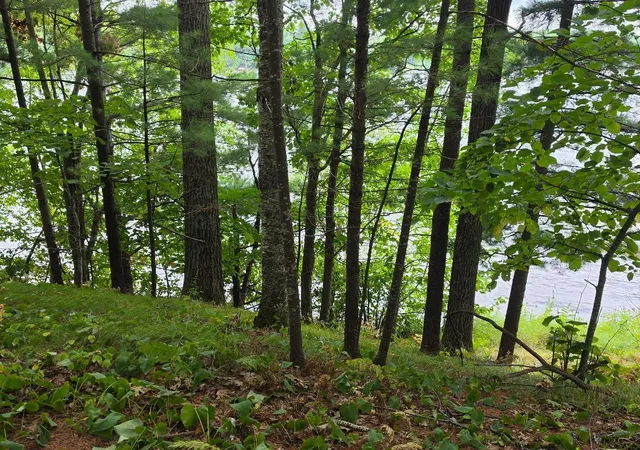 Photo 2 of Land for sale at 2406 Us Hwy 63, Cumberland, WI 54829 | MLS# 7135112 | Listing updated on 2026-09-17