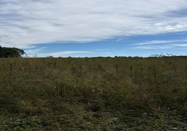 Photo 1 of Land for sale at Tbd Holman Ave, Harris, MN 55032 | MLS# 7144140 | Listing updated on 2026-09-18