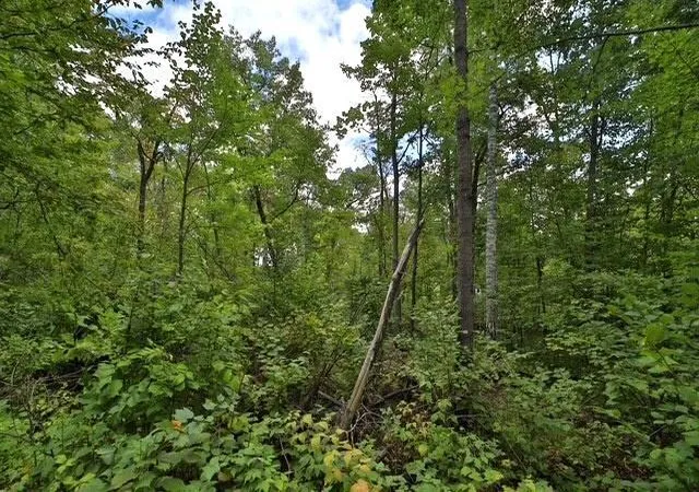 Photo 2 of Land for sale at Tbd Terminal Rd, Pequot Lakes, MN 56472 | MLS# 7144854 | Listing updated on 2026-09-17