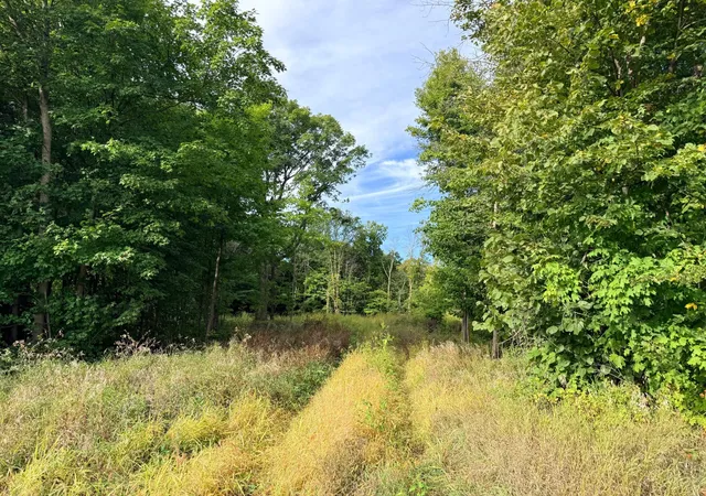 Photo 1 of Land for sale at 0 Harlee Ct Lot 3, Waconia, MN 55387 | MLS# 7144874 | Listing updated on 2026-09-17