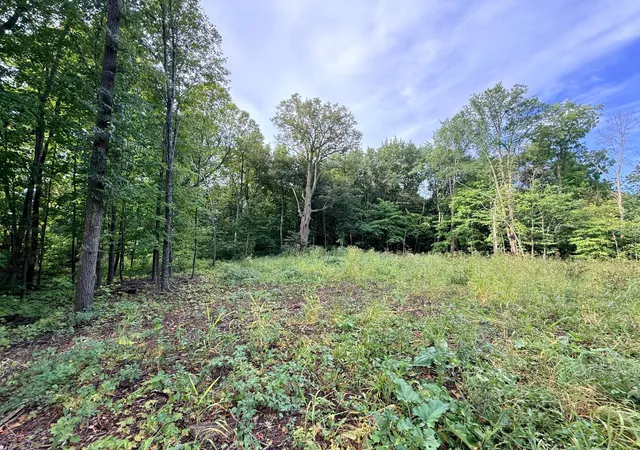Photo 4 of Land for sale at 0 Harlee Ct Lot 3, Waconia, MN 55387 | MLS# 7144874 | Listing updated on 2026-09-17