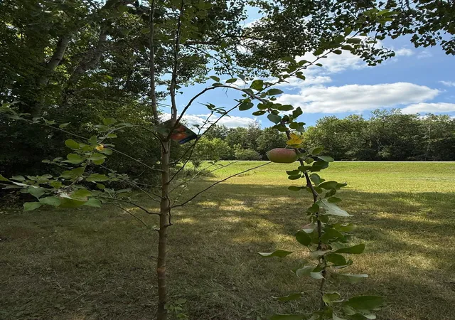Photo 3 of Land for sale at 20366 County Rd 12, Bovey, MN 55709 | MLS# 7144890 | Listing updated on 2026-09-16