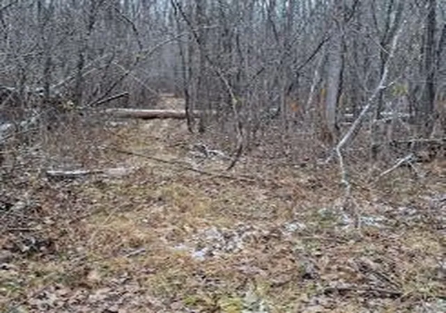 Photo 3 of Land for sale at 15057 Cyn Way, Pine City, MN 55063 | MLS# 7145394 | Listing updated on 2026-09-16