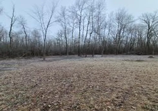 Photo 4 of Land for sale at 15057 Cyn Way, Pine City, MN 55063 | MLS# 7145394 | Listing updated on 2026-09-16