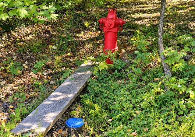Photo 2 of Land for sale at Lot 1 & 2 Bluegill Ave N, Webster, WI 54893 | MLS# 7145476 | Listing updated on 2026-09-17