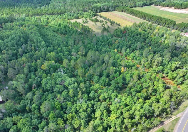 Photo 3 of Land for sale at Tbd County 119, Nevis, MN 56467 | MLS# 7145517 | Listing updated on 2026-09-18