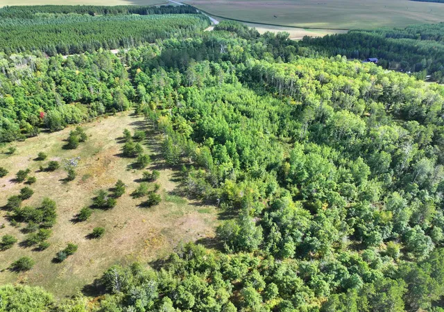 Photo 3 of Land for sale at Tbd County 119, Nevis, MN 56467 | MLS# 7145517 | Listing updated on 2026-09-18
