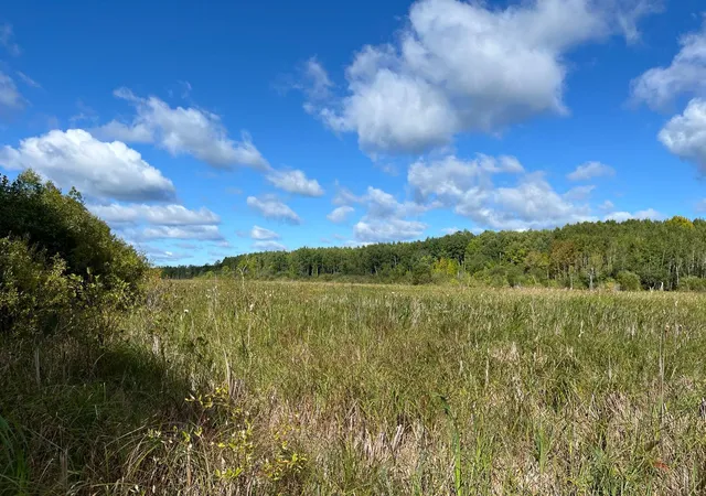 Photo 2 of Land for sale at Tbd County Rd 30, Big Falls, MN 56627 | MLS# 7145520 | Listing updated on 2026-09-17