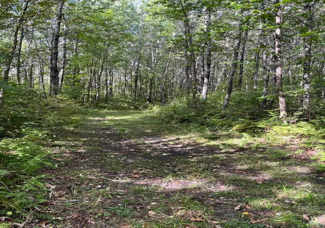 Photo 3 of Land for sale at Tbd County Rd 30, Big Falls, MN 56627 | MLS# 7145520 | Listing updated on 2026-09-17