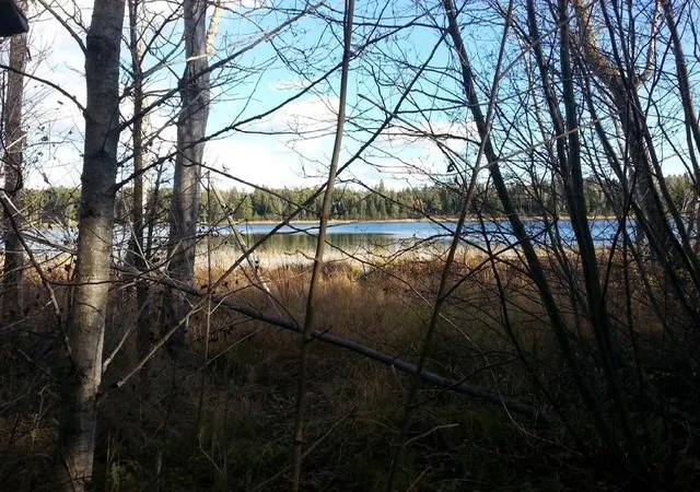 Photo 1 of Land for sale at 38812 Outback Dr, Laporte, MN 56461 | MLS# 7145738 | Listing updated on 2026-09-21