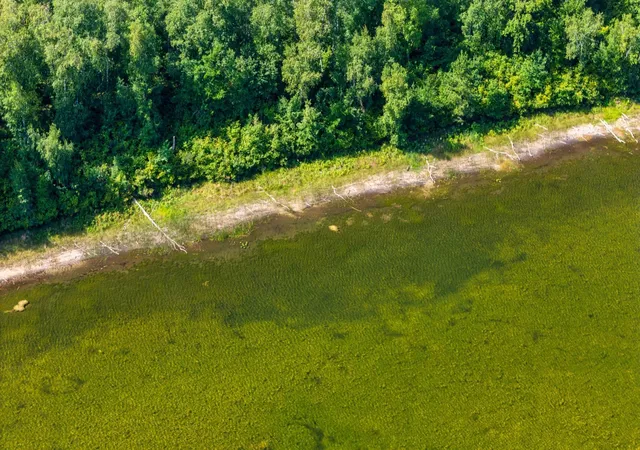 Photo 3 of Land for sale at Lot 9 Park Preserve Trl NE, Bemidji, MN 56601 | MLS# 7146014 | Listing updated on 2026-09-17