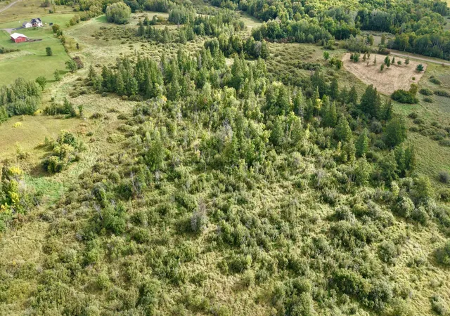 Photo 4 of Sale Pending at Tbd Tiger St, Dalbo, MN 55371 | MLS# 7146527 | Listing updated on 2026-09-22