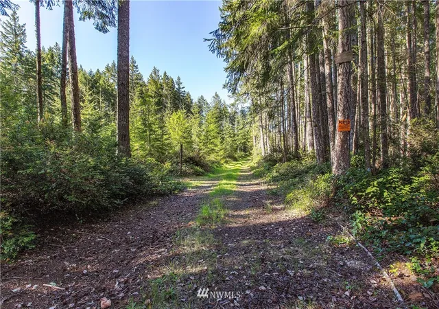 Photo 3 of Contingent at 11910 Alpine Dr Sw, Port Orchard, WA 98367 | MLS# NWM1775815 | Listing updated on 2026-09-17