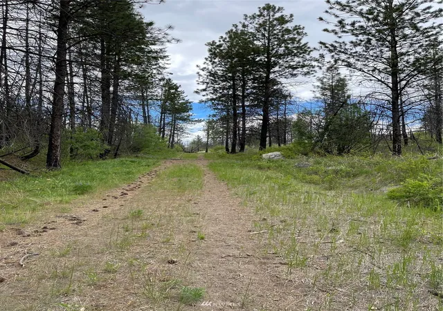 Photo 1 of Land for sale at 0 960x Knox Rd, Riverside, WA 98849 | MLS# NWM1908593 | Listing updated on 2026-09-17