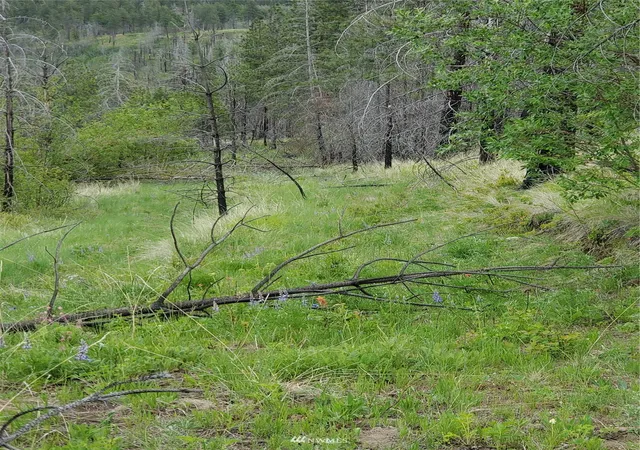 Photo 2 of Land for sale at 0 960x Knox Rd, Riverside, WA 98849 | MLS# NWM1908593 | Listing updated on 2026-09-17