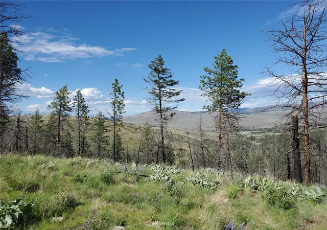 Photo 3 of Land for sale at 0 960x Knox Rd, Riverside, WA 98849 | MLS# NWM1908593 | Listing updated on 2026-09-17