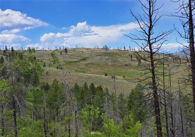 Photo 3 of Land for sale at 0 960x Knox Rd, Riverside, WA 98849 | MLS# NWM1908593 | Listing updated on 2026-09-17