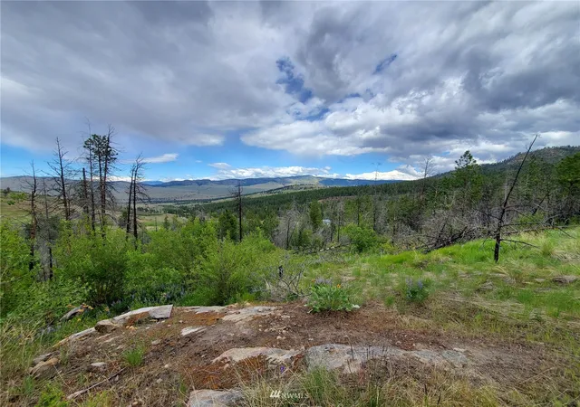 Photo 4 of Land for sale at 0 960x Knox Rd, Riverside, WA 98849 | MLS# NWM1908593 | Listing updated on 2026-09-17