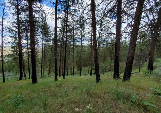 Photo 1 of Land for sale at 0 570x Tunk Crk Rd, Riverside, WA 98849 | MLS# NWM1910568 | Listing updated on 2026-09-17