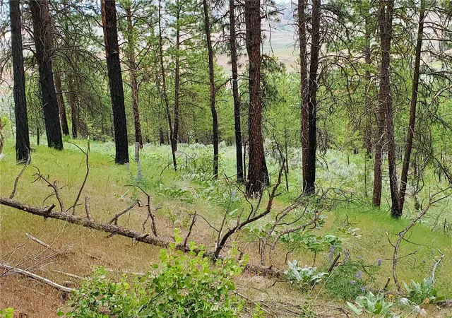 Photo 2 of Land for sale at 0 570x Tunk Crk Rd, Riverside, WA 98849 | MLS# NWM1910568 | Listing updated on 2026-09-17