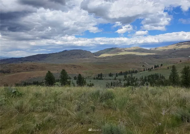 Photo 3 of Land for sale at 0 570x Tunk Crk Rd, Riverside, WA 98849 | MLS# NWM1910568 | Listing updated on 2026-09-17