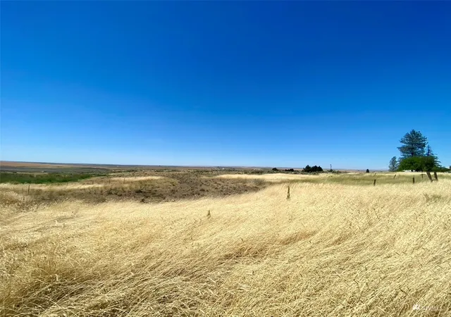 Photo 2 of Land for sale at 0 SW Trinity Ave, Wilbur, WA 99185 | MLS# NWM1990391 | Listing updated on 2026-09-17