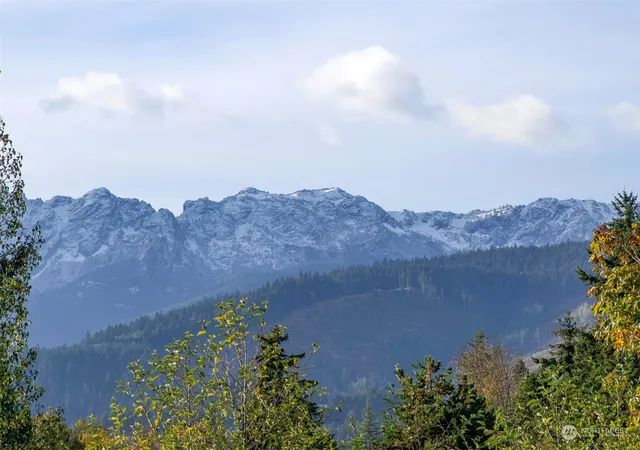 Photo 4 of Land for sale at 9999 E Park Ave, Port Angeles, WA 98362 | MLS# NWM2013843 | Listing updated on 2026-09-17