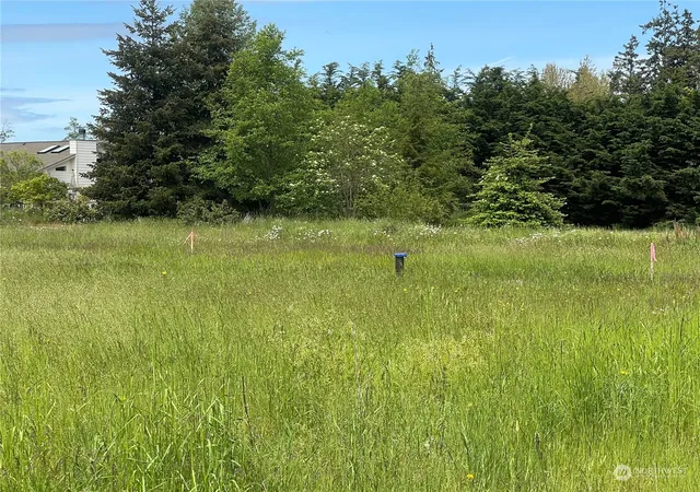 Photo 4 of Land for sale at 999 Savanana Soleil Way, Sequim, WA 98382 | MLS# NWM2029531 | Listing updated on 2026-09-17