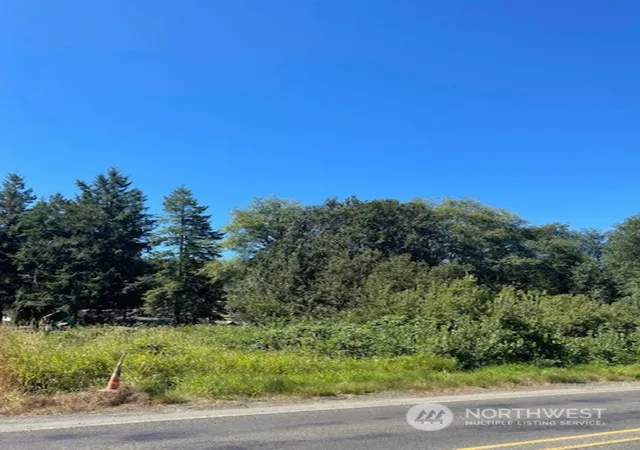 Photo 1 of Land for sale at 0 Xxx Henkle (hwy 6) St, Raymond, WA 98577 | MLS# NWM2059126 | Listing updated on 2026-09-17