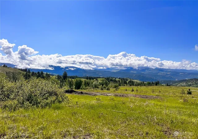 Photo 2 of Land for sale at 44 Moonlight Dr, Curlew, WA 99118 | MLS# NWM2073259 | Listing updated on 2026-09-17