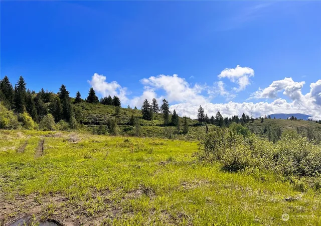 Photo 3 of Land for sale at 44 Moonlight Dr, Curlew, WA 99118 | MLS# NWM2073259 | Listing updated on 2026-09-17