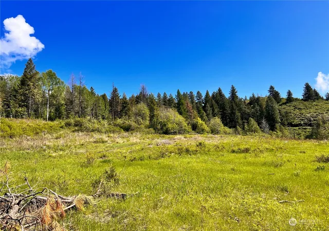 Photo 3 of Land for sale at 44 Moonlight Dr, Curlew, WA 99118 | MLS# NWM2073259 | Listing updated on 2026-09-17