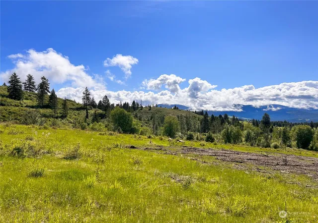 Photo 4 of Land for sale at 44 Moonlight Dr, Curlew, WA 99118 | MLS# NWM2073259 | Listing updated on 2026-09-17