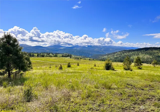 Photo 1 of Land for sale at 39 Moonlight Dr, Curlew, WA 99118 | MLS# NWM2074406 | Listing updated on 2026-09-17