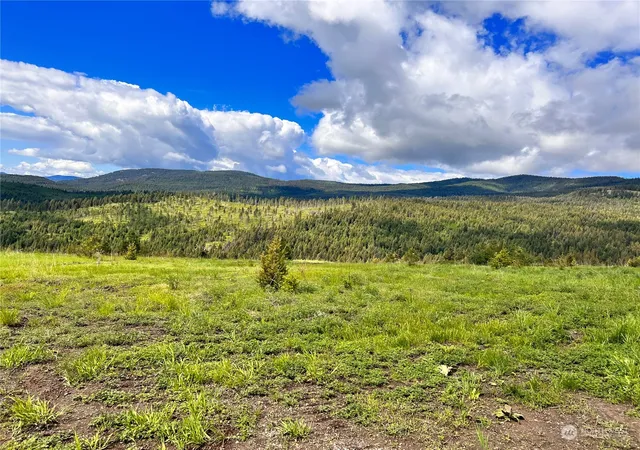 Photo 3 of Land for sale at 39 Moonlight Dr, Curlew, WA 99118 | MLS# NWM2074406 | Listing updated on 2026-09-17