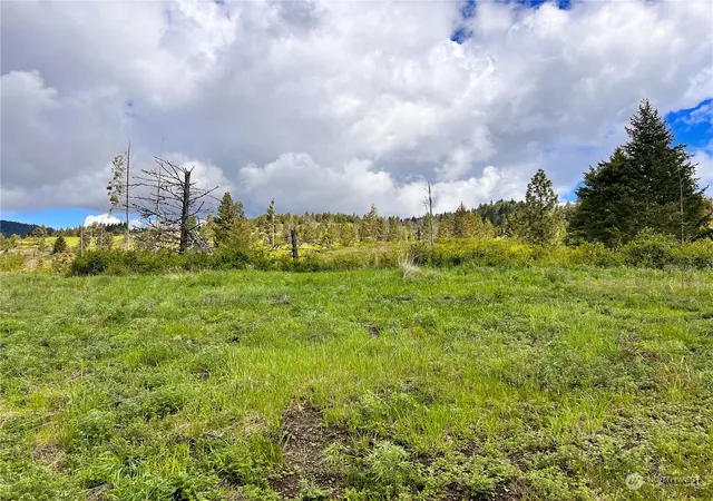 Photo 3 of Land for sale at 39 Moonlight Dr, Curlew, WA 99118 | MLS# NWM2074406 | Listing updated on 2026-09-17