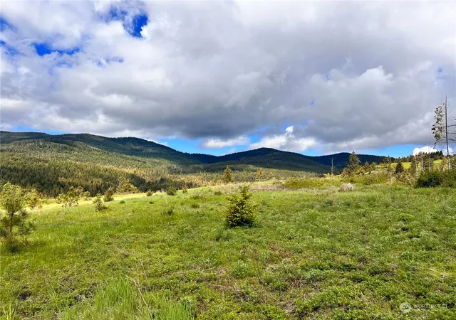 Photo 4 of Land for sale at 39 Moonlight Dr, Curlew, WA 99118 | MLS# NWM2074406 | Listing updated on 2026-09-17