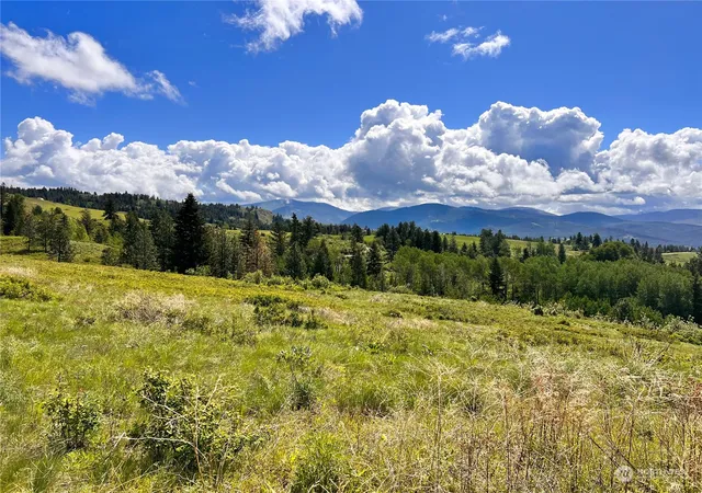 Photo 1 of Land for sale at 27 Moonlight Dr, Curlew, WA 99118 | MLS# NWM2074705 | Listing updated on 2026-09-17