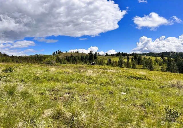 Photo 2 of Land for sale at 27 Moonlight Dr, Curlew, WA 99118 | MLS# NWM2074705 | Listing updated on 2026-09-17