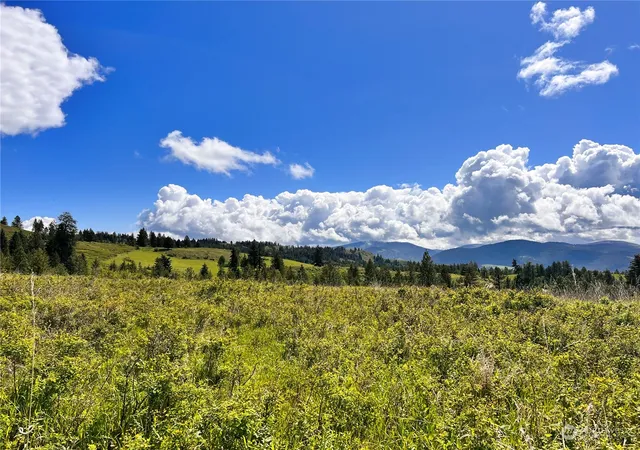 Photo 3 of Land for sale at 27 Moonlight Dr, Curlew, WA 99118 | MLS# NWM2074705 | Listing updated on 2026-09-17