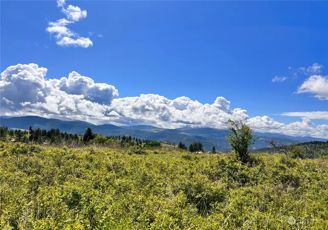 Photo 3 of Land for sale at 27 Moonlight Dr, Curlew, WA 99118 | MLS# NWM2074705 | Listing updated on 2026-09-17