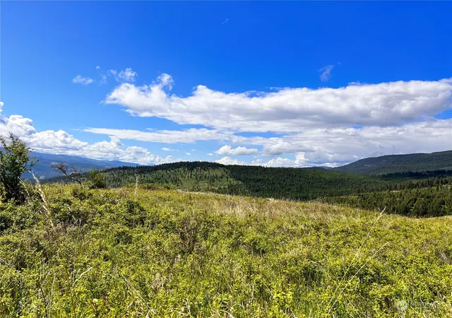 Photo 4 of Land for sale at 27 Moonlight Dr, Curlew, WA 99118 | MLS# NWM2074705 | Listing updated on 2026-09-17
