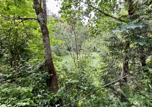 Land for sale at 0 196th Avenue E, Orting, WA 98360 | MLS# NWM2131118