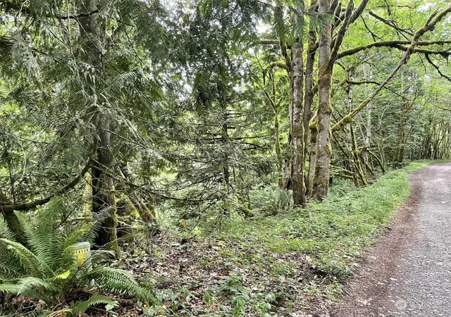 Photo 4 of Land for sale at 0 196th Avenue E, Orting, WA 98360 | MLS# NWM2131118 | Listing updated on 2026-09-17