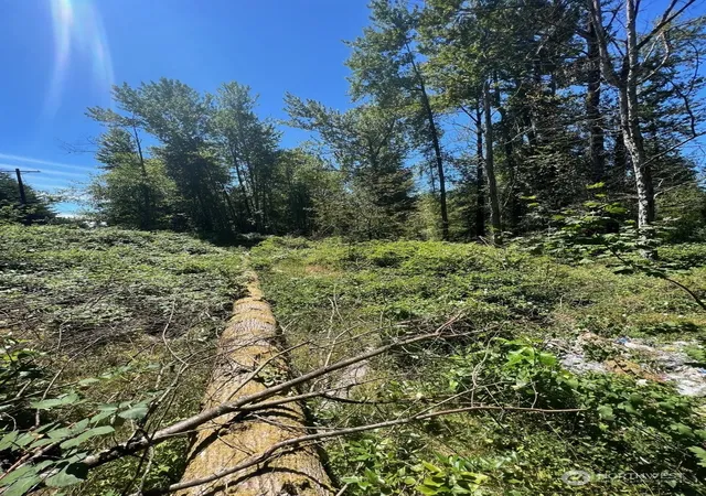 Photo 2 of Land for sale at 14000 Center Rd, Everett, WA 98204 | MLS# NWM2139717 | Listing updated on 2026-09-17