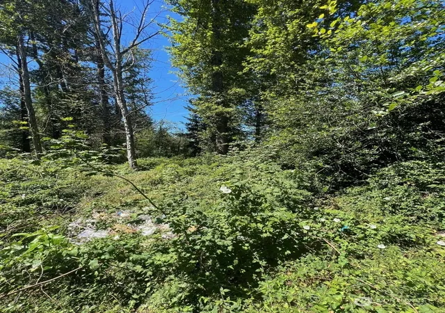 Photo 3 of Land for sale at 14000 Center Rd, Everett, WA 98204 | MLS# NWM2139717 | Listing updated on 2026-09-17